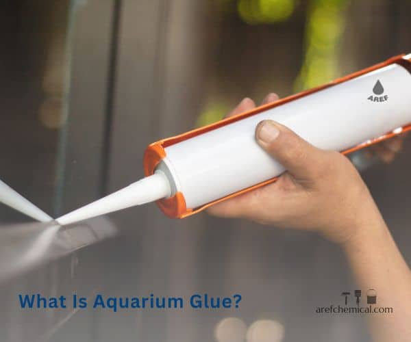 What is aquarium glue?