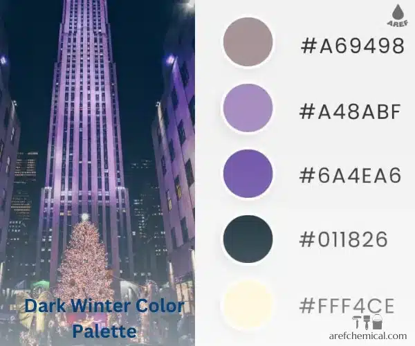 Dark winter color palettes