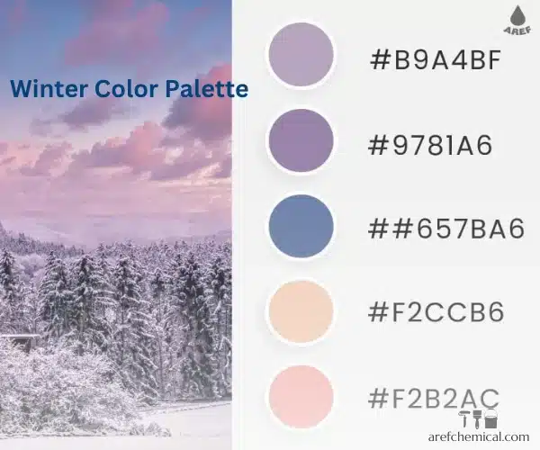 What is the color of winter?